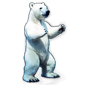 Polar Bear Standing PNG Uhn