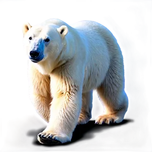 Polar Bear Walking Png Gke64 PNG image