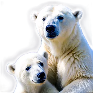 Polar Bear With Cubs PNG 05062024