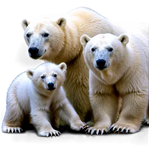 Polar Bear With Cubs Png 46 PNG image