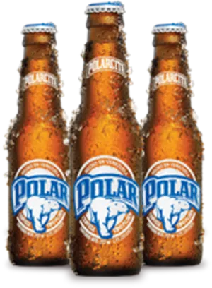 Polar Cerveza Bottles Chilled PNG image