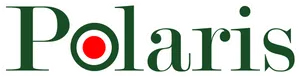 Polaris Brand Logo PNG image