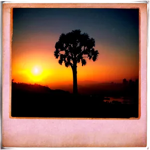Polaroid Film Shadow Effect PNG 06202024