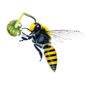 Pollination And Fertilization Png 05242024 PNG image
