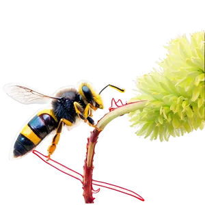 Pollination And Fertilization PNG Ekf25 PNG