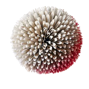 Pom Poms D PNG image