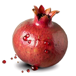 Pomegranate Closeup Image PNG Cvu7 PNG