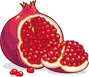 Pomegranate Illustration Cut Open PNG image
