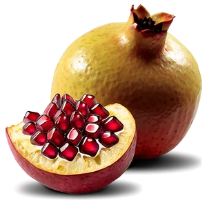 Pomegranate Segment PNG Qjp22 PNG