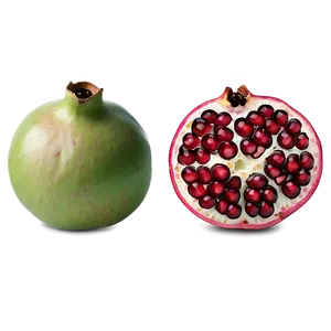 Pomegranate Segment PNG Tmj PNG