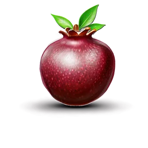 Pomegranate Sketch PNG 66