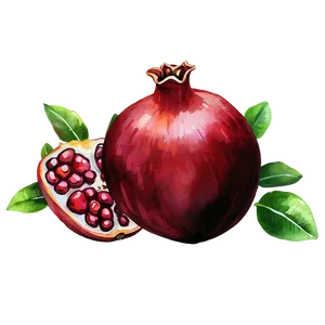 Pomegranate Watercolor PNG Fcn