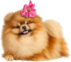 Pomeranian Puppy With Pink Bow