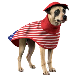 Poncho For Pet PNG 06272024 PNG