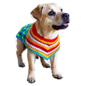 Poncho For Pet PNG 06272024 PNG