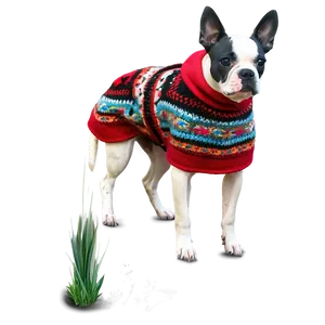 Poncho For Pet PNG 06272024 PNG