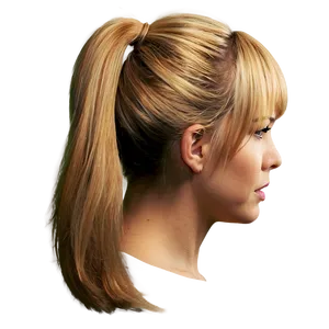 Ponytail D PNG image