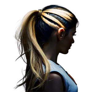 Ponytail For Long Hair Png Wxh PNG image