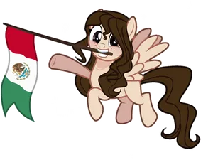 Ponywith Mexican Flag PNG image