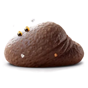 Poop With Flies Png 05232024 PNG image