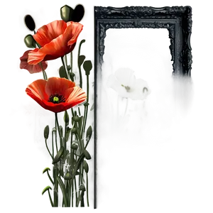 Poppies Frame PNG 05252024