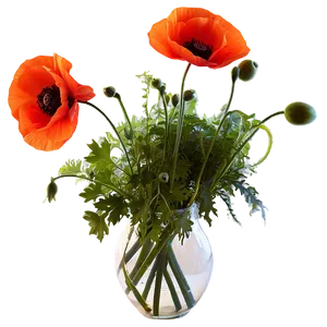 Poppies In Vase PNG 06272024 PNG
