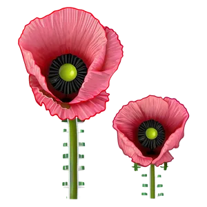 Poppy Flower Outline PNG Kwa PNG