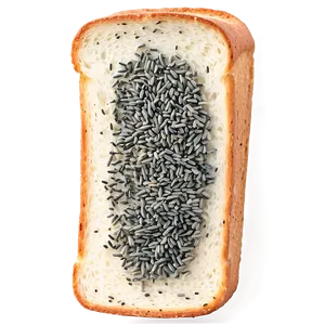 Poppy Seed Bread Slice PNG Fnu16 PNG