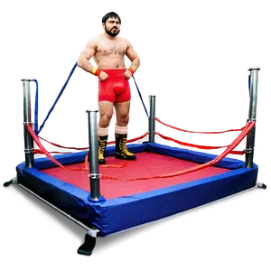 Portable Wrestling Ring PNG 06202024