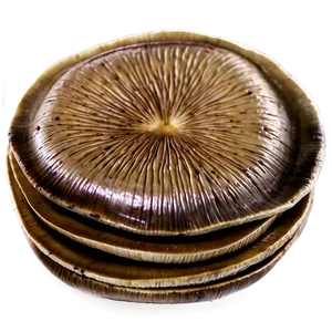 Portobello Mushrooms Png 05242024 PNG image