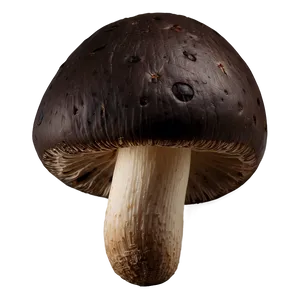 Portobello Mushrooms Png Tvw PNG image