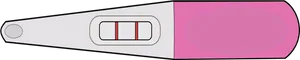 Positive Pregnancy Test Result PNG image