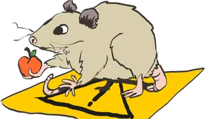 Possum Holding Apple Illustration PNG