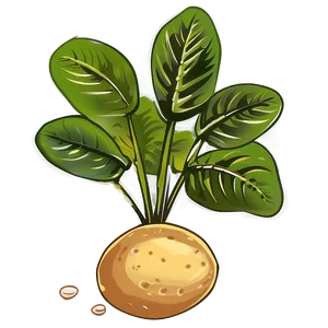 Potato Plant Clipart PNG Jnn