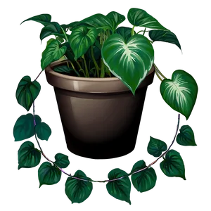 Pothos C PNG image