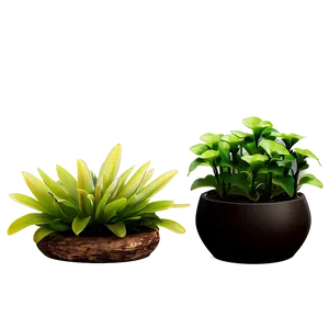 Potted Aquatic Plants PNG 53