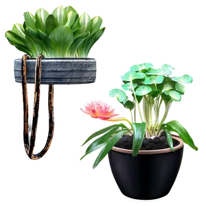 Potted Aquatic Plants PNG 97