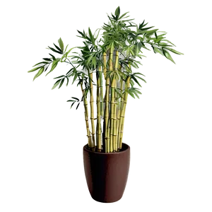 Potted Bamboo Plants Png 40 PNG image