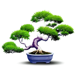 Potted Bonsai Trees PNG 06122024