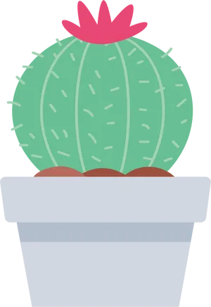 Potted Cactus Cartoon Illustration