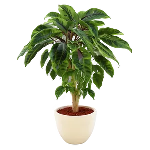 Potted Hanging Plant Png 05252024 PNG image