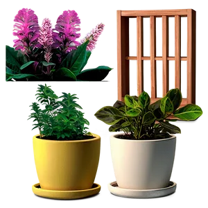 Potted Herbs Collection Png 06122024 PNG image