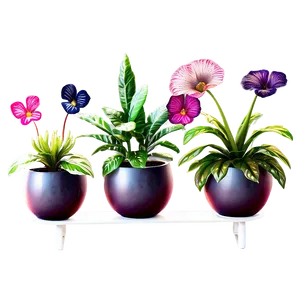 Potted Plant Decoration Ideas Png Whi10 PNG image