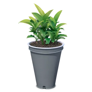 Potted Plant Drainage Solutions PNG 31 PNG