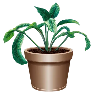 Potted Plant Pest Solutions PNG Yvv PNG