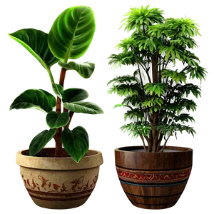 Potted Plant PNG 05032024