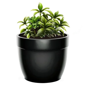 Potted Plant PNG Jks41