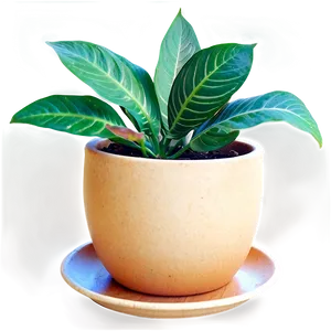 Potted Plant PNG Kjv