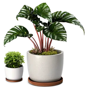 Potted Plant Pot Designs PNG 06122024