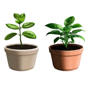 Potted Plant Propagation Techniques PNG Xpu47 PNG
